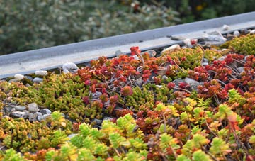 the cost of Kirkmichael Mains green roof installation