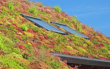 Kirkmichael Mains living roof systems
