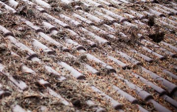 Kirkmichael Mains roof cleaning companies