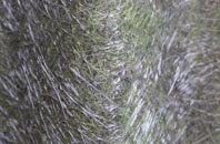 Kirkmichael Mains fibreglass roof work